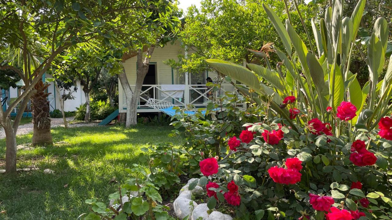 Bellerofon Beach Otel Чирали Экстерьер фото